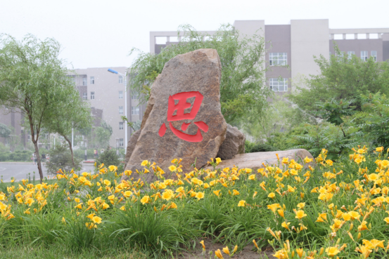 齐齐哈尔市暖阳心理咨询服务有限公司